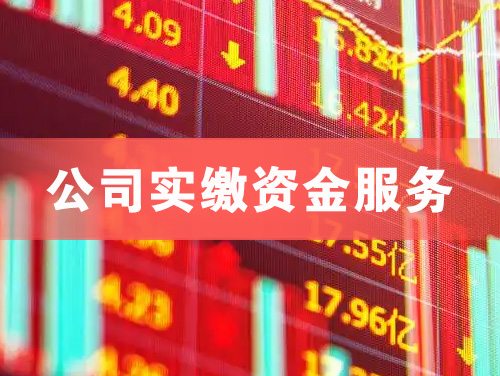莆田公司实缴资金服务